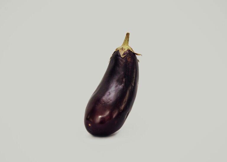 Eggplant Recipes Versatile and Flavorful