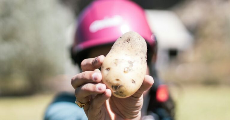 Potato Skins Recipes Crispy Appetizers