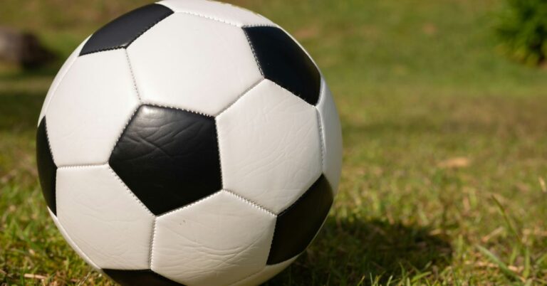 Globalizations Impact on Local Sports