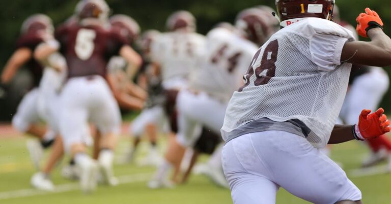 Innovations in Sports Injury Rehabilitation