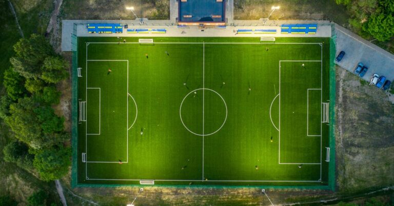 Sustainable Practices in Sports Organizations