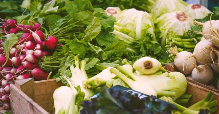 EcoFriendly Ingredients Sustainable Eating