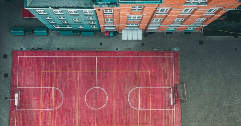 Cultural Influence of Sports on Society