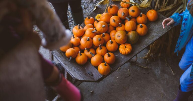 Canning and Preserving Extend Your Seasonal Harvest