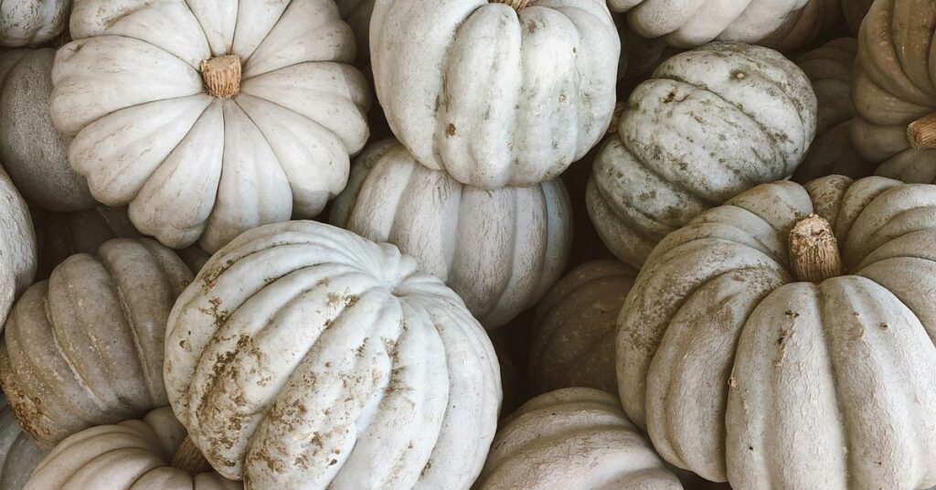 Pumpkin Spice Everything Seasonal Treats