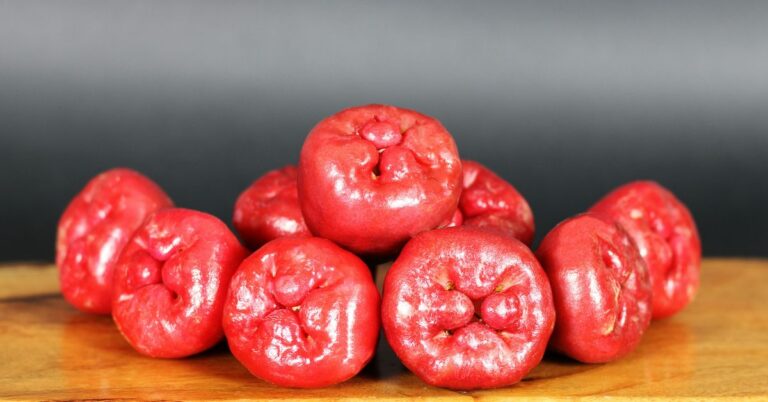 BBQ Meatballs Recipes Tangy Appetizers